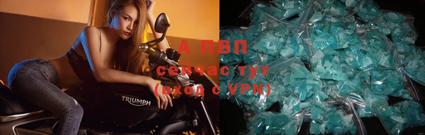 apvp Заволжье