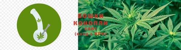 apvp Заволжье