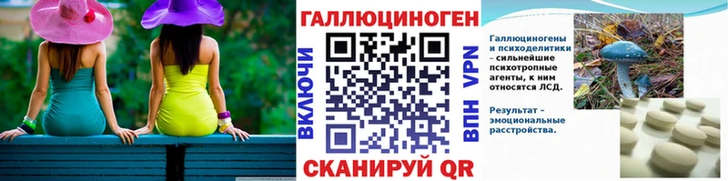 Купить где  Харабали  Псилоцибиновые грибы Cubensis 
